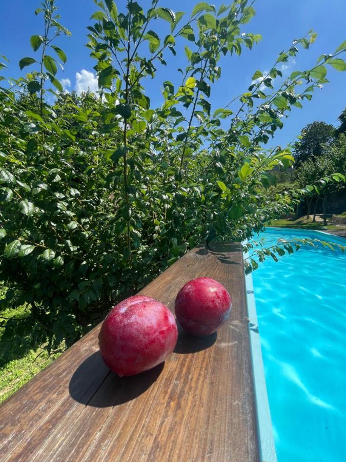 Quinta Das Ameixas - Country & Nature Arouca Extérieur photo